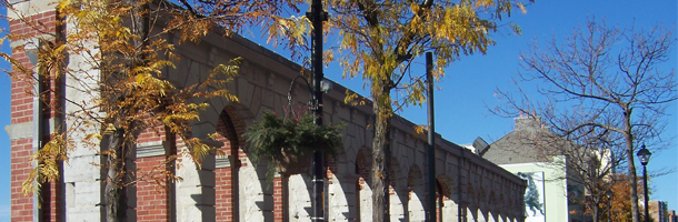Trees and wall